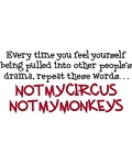 Not My Circus